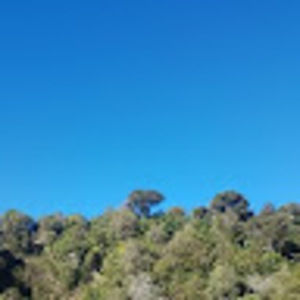 Meet your Posher, Marion